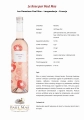 MP46-le-rose-par-paul-mas.jpg