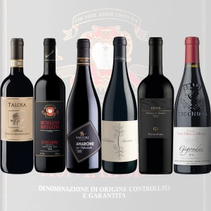 Zestaw 6 win  -top wines-