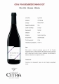 merlot-citra-vini-bisanzio-abruzja-wlochy-wino.jpg
